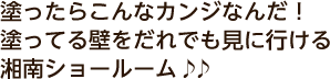 塗ったらこんなカンジなんだ！塗ってる壁をだれでも見に行ける湘南ショールーム♪♪