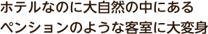 ホテルなのに大自然の中にあるペンションのような客室に大変身