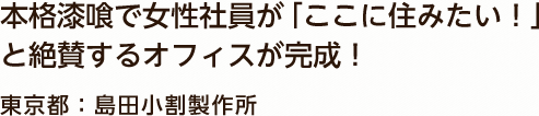 本格漆喰で女性社員が「ここに住みたい！」と絶賛するオフィスが完成！ 東京都：島田小割製作所