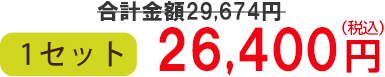 1セット　25,920円（税込）送料無料